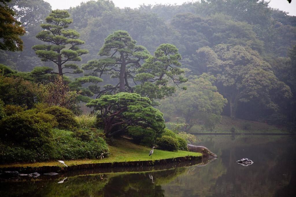 Tora Hotel Tokyo-Rikugienn 寅ホテル 六義園 C Luaran gambar